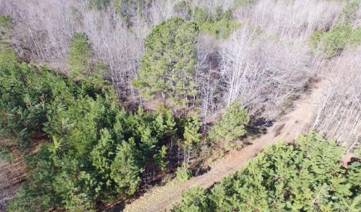 Photo of UNDER CONTRACT!  17.7 Acres of Residential and Hunting Land For Sale in Greensville County VA!