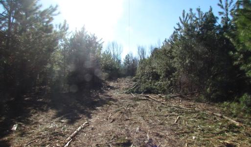 Photo of UNDER CONTRACT!  17.7 Acres of Residential and Hunting Land For Sale in Greensville County VA!