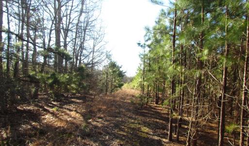 Photo of UNDER CONTRACT!  17.7 Acres of Residential and Hunting Land For Sale in Greensville County VA!