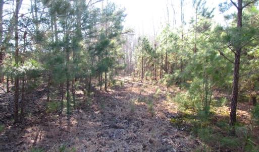Photo of UNDER CONTRACT!  17.7 Acres of Residential and Hunting Land For Sale in Greensville County VA!