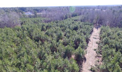 Photo of UNDER CONTRACT!  17.7 Acres of Residential and Hunting Land For Sale in Greensville County VA!