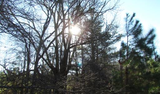 Photo of UNDER CONTRACT!  17.7 Acres of Residential and Hunting Land For Sale in Greensville County VA!