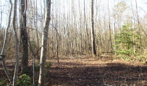 Photo of UNDER CONTRACT!  17.7 Acres of Residential and Hunting Land For Sale in Greensville County VA!