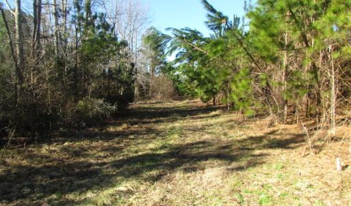 Photo of UNDER CONTRACT!  17.7 Acres of Residential and Hunting Land For Sale in Greensville County VA!
