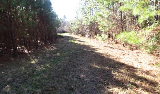 Photo of UNDER CONTRACT!  17.7 Acres of Residential and Hunting Land For Sale in Greensville County VA!