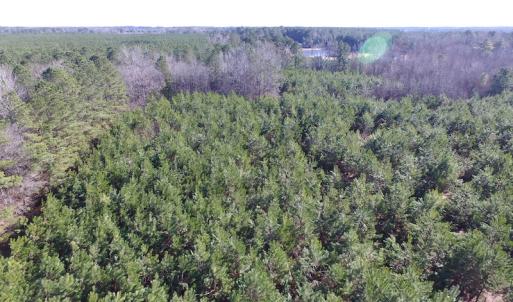 Photo of UNDER CONTRACT!  17.7 Acres of Residential and Hunting Land For Sale in Greensville County VA!