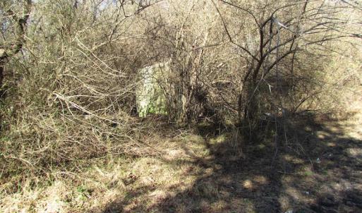 Photo of UNDER CONTRACT!  17.7 Acres of Residential and Hunting Land For Sale in Greensville County VA!