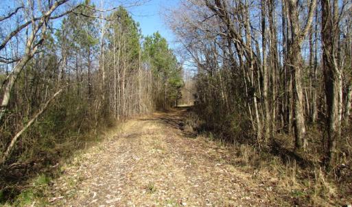 Photo of UNDER CONTRACT!  17.7 Acres of Residential and Hunting Land For Sale in Greensville County VA!