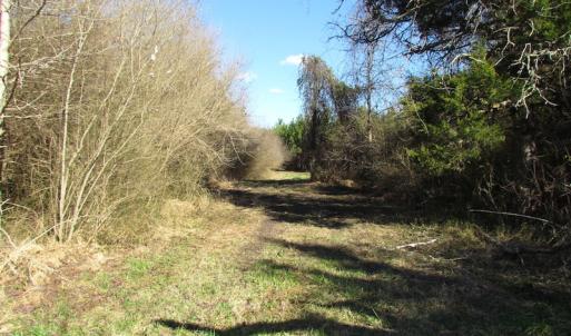 Photo of UNDER CONTRACT!  17.7 Acres of Residential and Hunting Land For Sale in Greensville County VA!