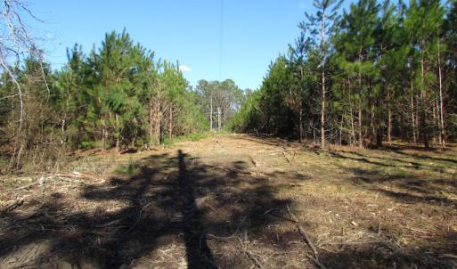 Photo of UNDER CONTRACT!  17.7 Acres of Residential and Hunting Land For Sale in Greensville County VA!