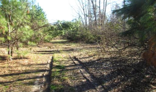 Photo of UNDER CONTRACT!  17.7 Acres of Residential and Hunting Land For Sale in Greensville County VA!