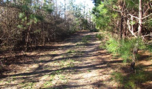 Photo of UNDER CONTRACT!  17.7 Acres of Residential and Hunting Land For Sale in Greensville County VA!