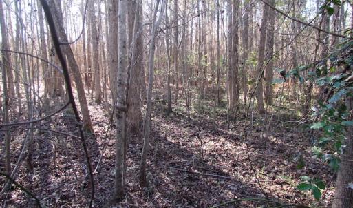 Photo of UNDER CONTRACT!  17.7 Acres of Residential and Hunting Land For Sale in Greensville County VA!