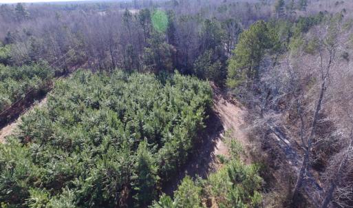 Photo of UNDER CONTRACT!  17.7 Acres of Residential and Hunting Land For Sale in Greensville County VA!