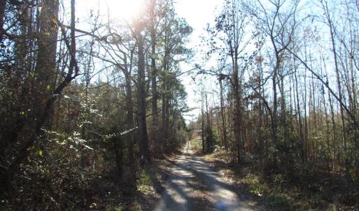Photo of UNDER CONTRACT!  17.7 Acres of Residential and Hunting Land For Sale in Greensville County VA!