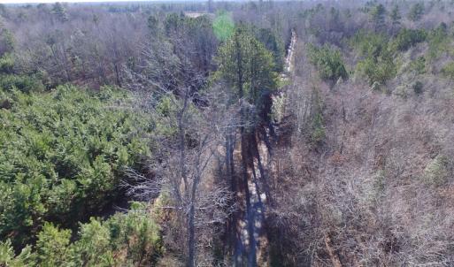 Photo of UNDER CONTRACT!  17.7 Acres of Residential and Hunting Land For Sale in Greensville County VA!