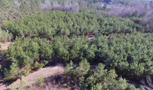 Photo of UNDER CONTRACT!  17.7 Acres of Residential and Hunting Land For Sale in Greensville County VA!