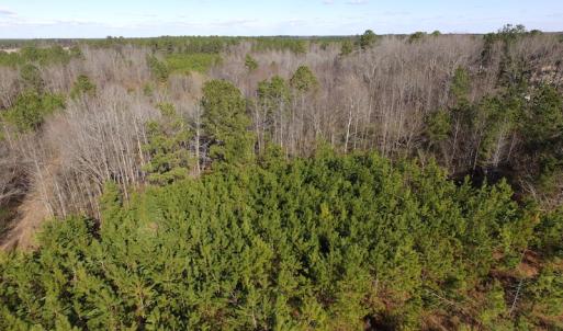 Photo of UNDER CONTRACT!  17.7 Acres of Residential and Hunting Land For Sale in Greensville County VA!
