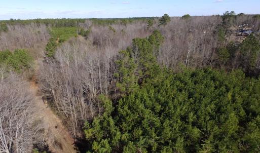 Photo of UNDER CONTRACT!  17.7 Acres of Residential and Hunting Land For Sale in Greensville County VA!