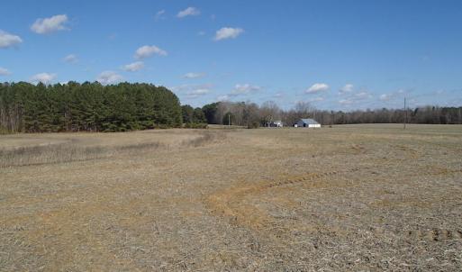 Photo of UNDER CONTRACT!  46.3 Acres of Farm and Timber Land For Sale in Nash County NC!