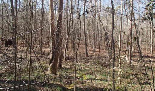 Photo of UNDER CONTRACT!  46.3 Acres of Farm and Timber Land For Sale in Nash County NC!