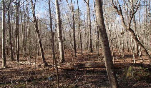 Photo of UNDER CONTRACT!  46.3 Acres of Farm and Timber Land For Sale in Nash County NC!