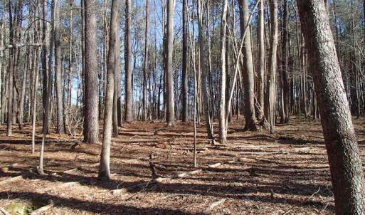 Photo of UNDER CONTRACT!  46.3 Acres of Farm and Timber Land For Sale in Nash County NC!