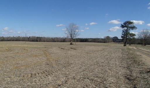 Photo of UNDER CONTRACT!  46.3 Acres of Farm and Timber Land For Sale in Nash County NC!