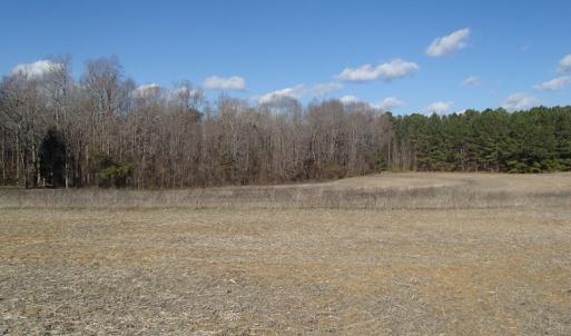 Photo of UNDER CONTRACT!  46.3 Acres of Farm and Timber Land For Sale in Nash County NC!
