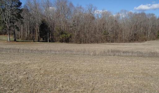 Photo of UNDER CONTRACT!  46.3 Acres of Farm and Timber Land For Sale in Nash County NC!