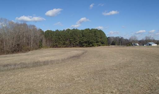 Photo of UNDER CONTRACT!  46.3 Acres of Farm and Timber Land For Sale in Nash County NC!