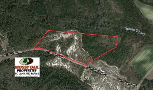Photo of UNDER CONTRACT!  32 Acres of Residential Hunting and Timber Land for Sale in Bladen County NC!