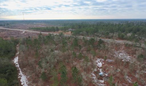 Photo of UNDER CONTRACT!  32 Acres of Residential Hunting and Timber Land for Sale in Bladen County NC!