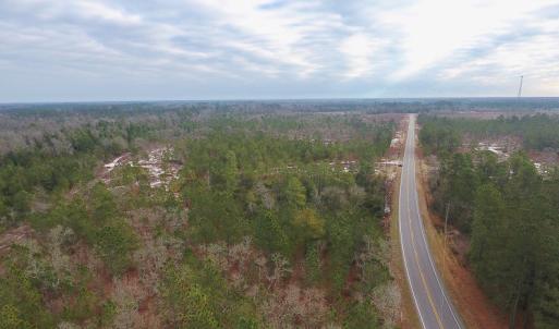 Photo of UNDER CONTRACT!  32 Acres of Residential Hunting and Timber Land for Sale in Bladen County NC!