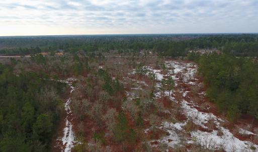 Photo of UNDER CONTRACT!  32 Acres of Residential Hunting and Timber Land for Sale in Bladen County NC!
