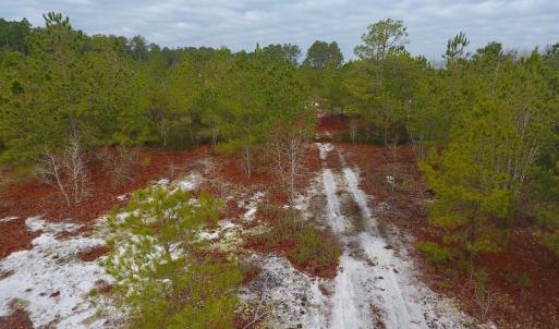 Photo of UNDER CONTRACT!  32 Acres of Residential Hunting and Timber Land for Sale in Bladen County NC!