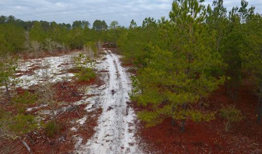Photo of UNDER CONTRACT!  32 Acres of Residential Hunting and Timber Land for Sale in Bladen County NC!