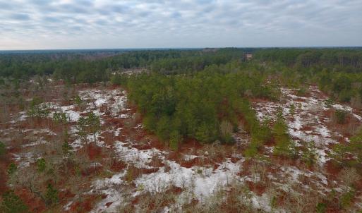 Photo of UNDER CONTRACT!  32 Acres of Residential Hunting and Timber Land for Sale in Bladen County NC!