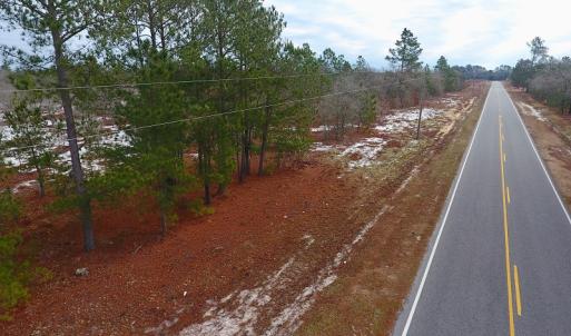 Photo of UNDER CONTRACT!  32 Acres of Residential Hunting and Timber Land for Sale in Bladen County NC!