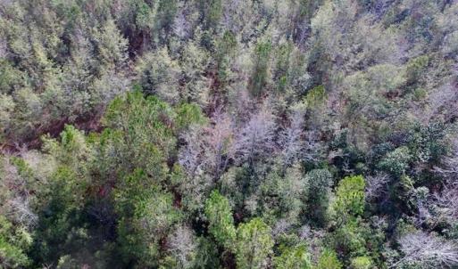 Photo of SOLD!  14 Acres of Residential Development Land For Sale in New Hanover County NC!