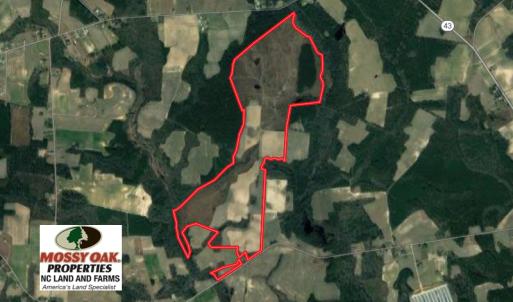 Photo of SOLD!  312 Acres of Farm and Hunting Land For Sale in Edgecombe County NC!