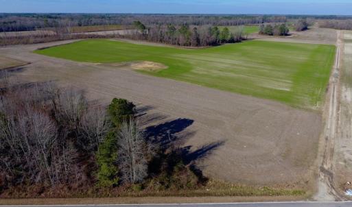 Photo of SOLD!  312 Acres of Farm and Hunting Land For Sale in Edgecombe County NC!