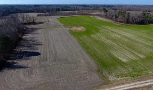 Photo of SOLD!  312 Acres of Farm and Hunting Land For Sale in Edgecombe County NC!