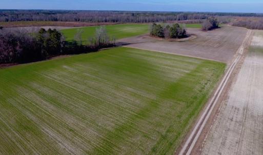 Photo of SOLD!  312 Acres of Farm and Hunting Land For Sale in Edgecombe County NC!