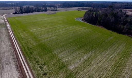 Photo of SOLD!  312 Acres of Farm and Hunting Land For Sale in Edgecombe County NC!