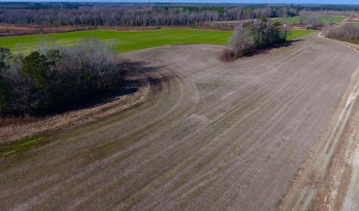 Photo of SOLD!  312 Acres of Farm and Hunting Land For Sale in Edgecombe County NC!