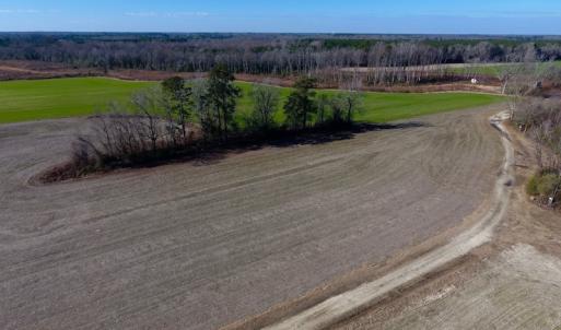 Photo of SOLD!  312 Acres of Farm and Hunting Land For Sale in Edgecombe County NC!