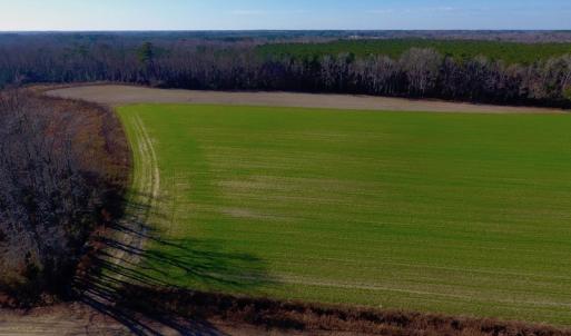 Photo of SOLD!  312 Acres of Farm and Hunting Land For Sale in Edgecombe County NC!