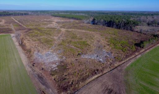 Photo of SOLD!  312 Acres of Farm and Hunting Land For Sale in Edgecombe County NC!