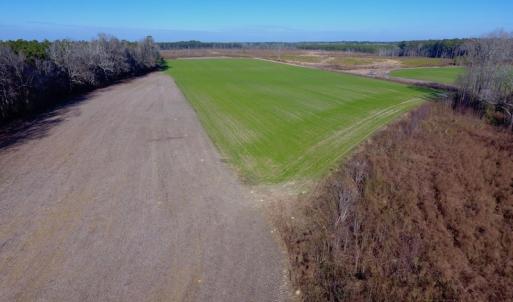 Photo of SOLD!  312 Acres of Farm and Hunting Land For Sale in Edgecombe County NC!
